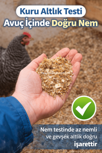 kümes kış yönetimi