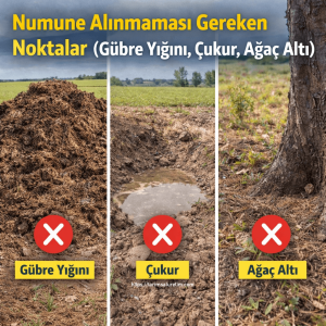 Toprak Örneği Nasıl Alınır? Adım Adım Numune Rehberi 2 toprak örneği nasıl alınır