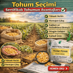 Sertifikalı tohumun avantajları