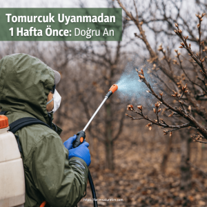 göz taşı ve kışlık yağ uygulaması 