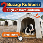 Buzağı Kulübesi Ölçü ve Havalandırma