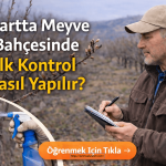 Martta meyve bahçesinde ilk kontrol