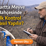 martta meyve bahçesinde ilk kontrol