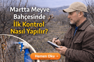 martta meyve bahçesinde ilk kontrol