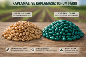 tohum kaplama nedir