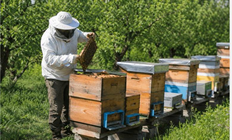 Arıda Oğul Eğilimi Nasıl Önlenir? 1 Arıda oğul eğilimi