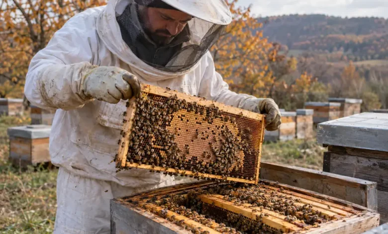 Ekim Sonu Varroa Mücadelesi Neden Kritik? 1 Ekim Sonu Varroa Mücadelesi