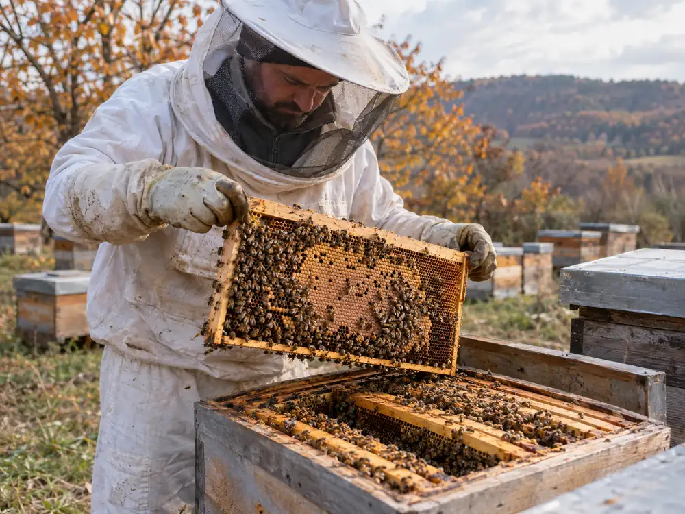 Ekim Sonu Varroa Mücadelesi